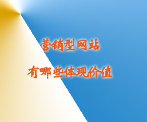 營銷型網(wǎng)站有哪些體現(xiàn)價(jià)值