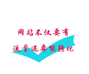 網(wǎng)站不僅要有流量還要能轉(zhuǎn)化