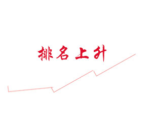 為什么網(wǎng)站的排名老是止步不前呢