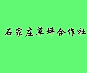 石家莊網(wǎng)站建設(shè)公司找哪家比較好